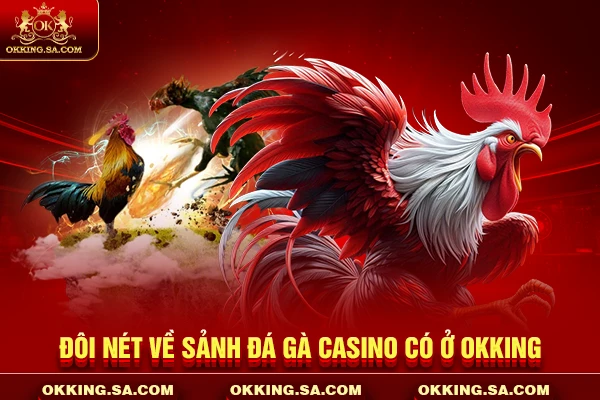 Đôi nét về sảnh đá gà casino có ở OKKING