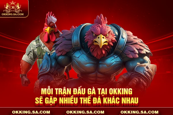 Mỗi trận đấu gà tại OKKING sẽ gặp nhiều thế đá khác nhau