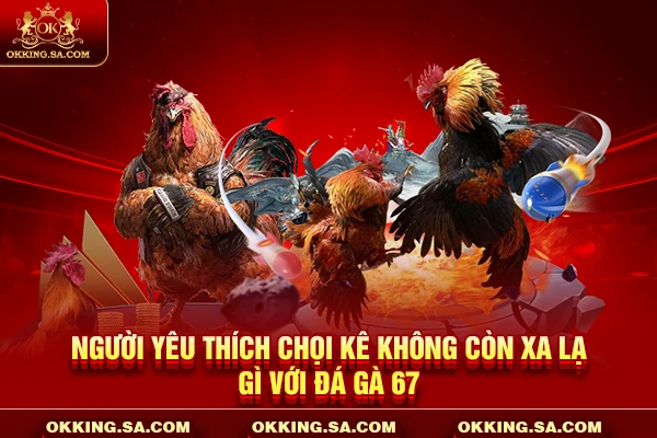 Người yêu thích chọi kê không còn xa lạ gì với đá gà 67
