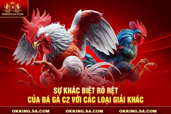 Sự khác biệt rõ rệt của đá gà C2 với các loại giải khác